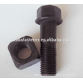 Flange Bolt With Square Nut M20